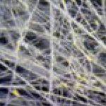 FiberGlass