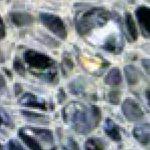 PolyUrthane